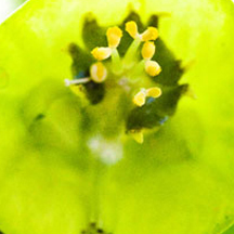 一体化管理的攻击网站在线工具